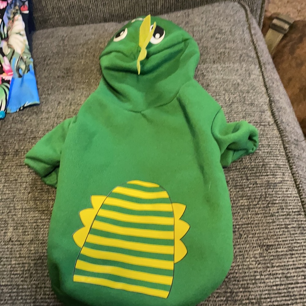 Lizard dog sweat shirt